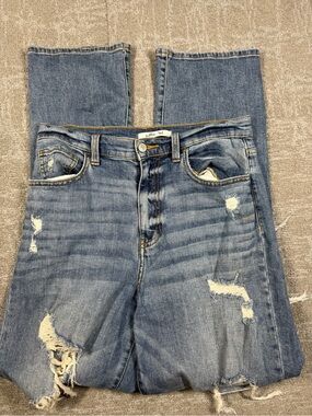 Willow and Root The Distressed Dad Jean Women Size 29